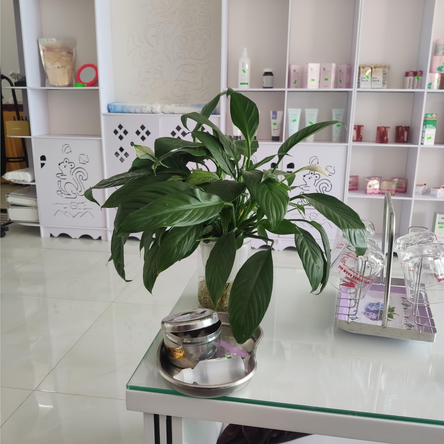 Đội Ngũ Kỹ Thuật Viên